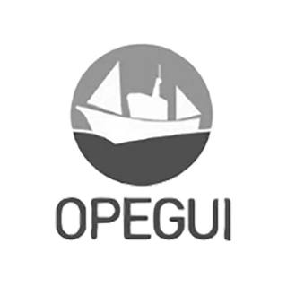 Logotipo de Opegui